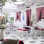 Kurabiye (adults Only)