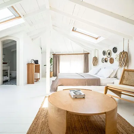 Kurabiye (adults Only)